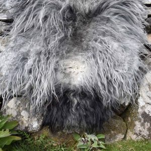 grey icelandic felted fleece