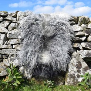 grey icelandic sheepskin rug