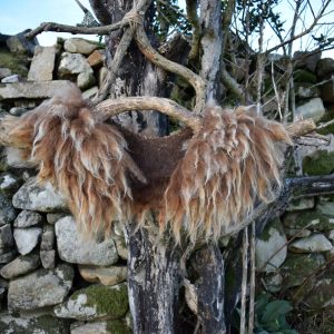 wild fleece collar
