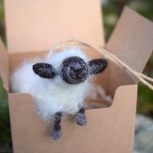 cute wool suffolk sheep