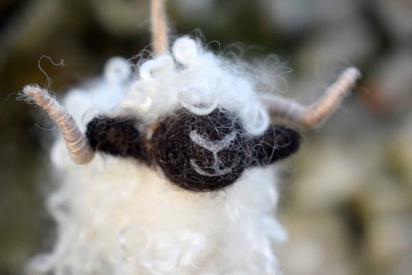 valais blacknose sheep decoration