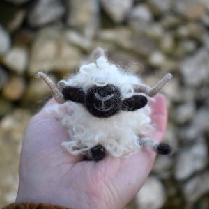 cute valais sheep