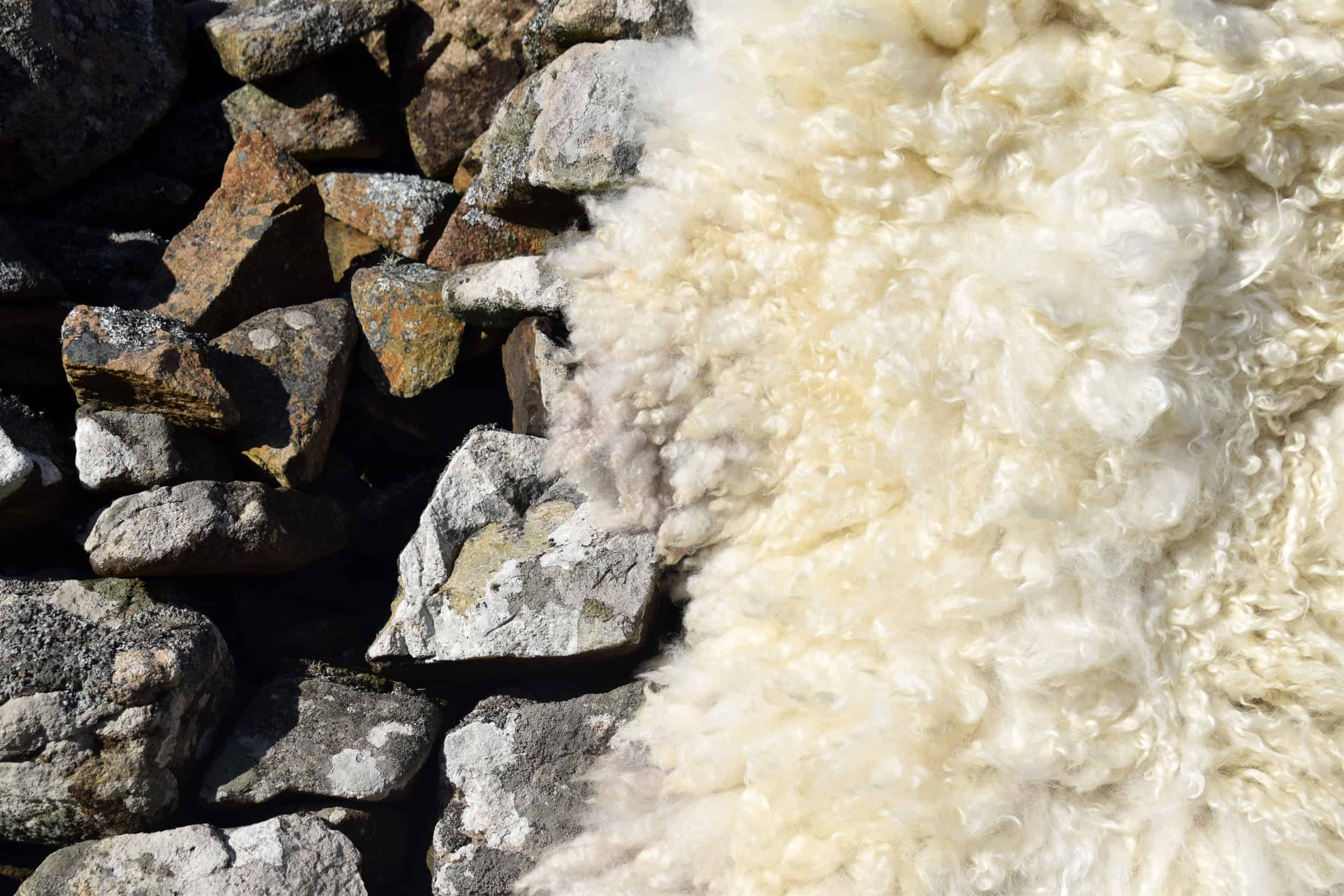 felted fleece wool rug clover cream vegetarian sheepskin