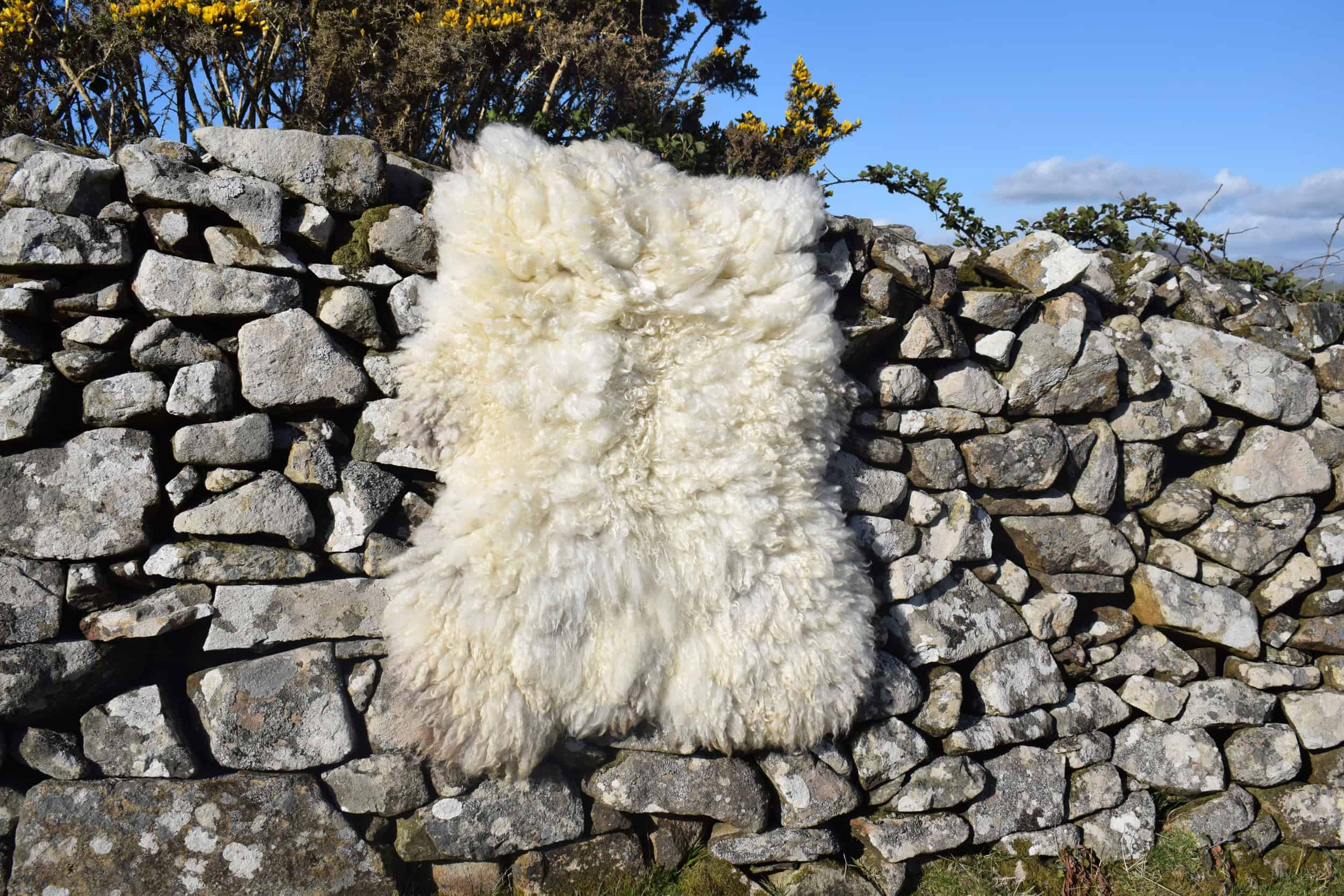 curly cream felted fleece rug vegetarian sheepskin clover natural ethical bespoke handcrafted sheep art 6 curly cream felted fleece
