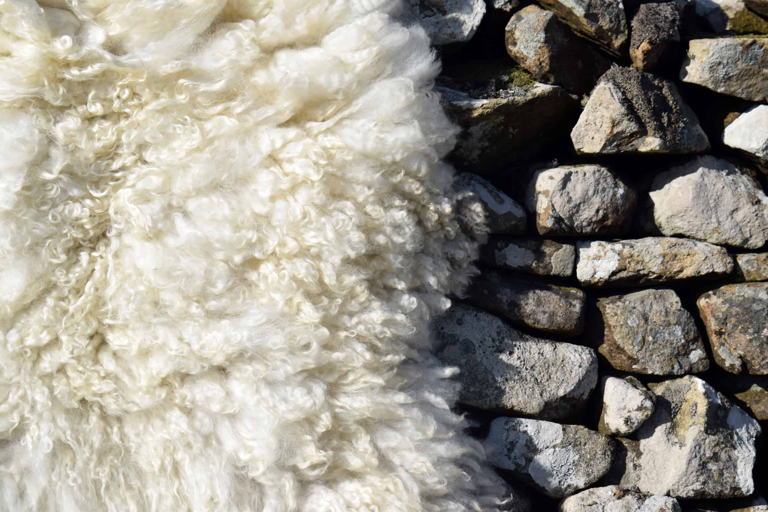 vegetarian sheepskin wool rug clover cream gotland sheepskin