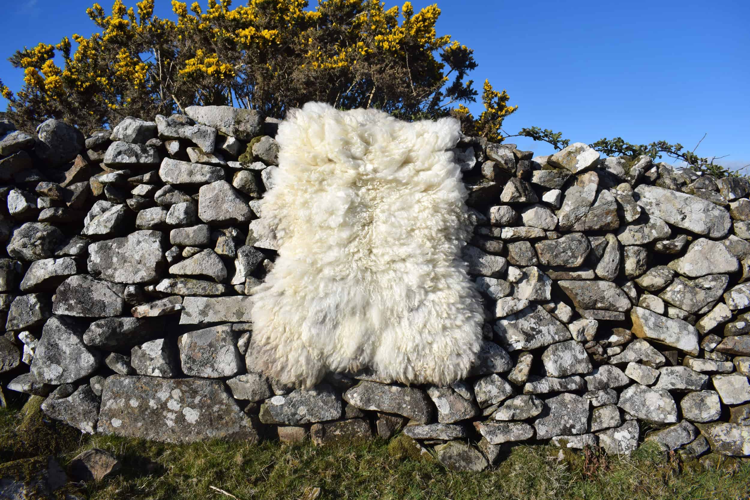 curly cream felted fleece