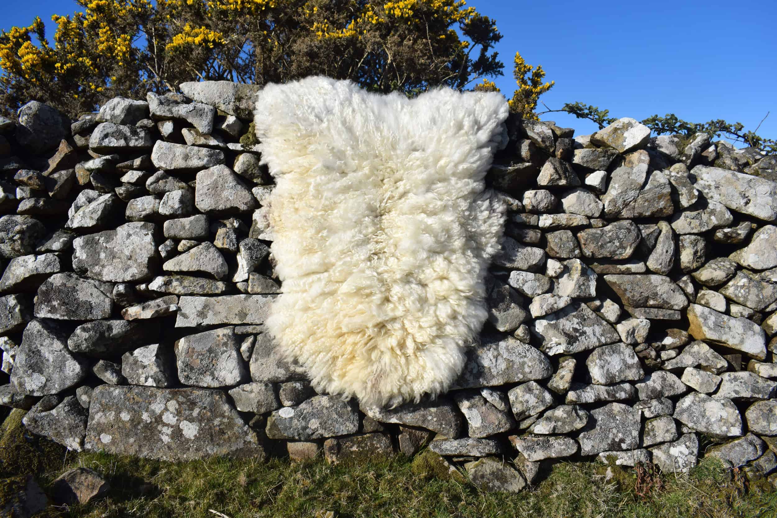 curly cream felted fleece rug vegetarian sheepskin clover natural ethical bespoke handcrafted sheep art 2 curly cream felted fleece