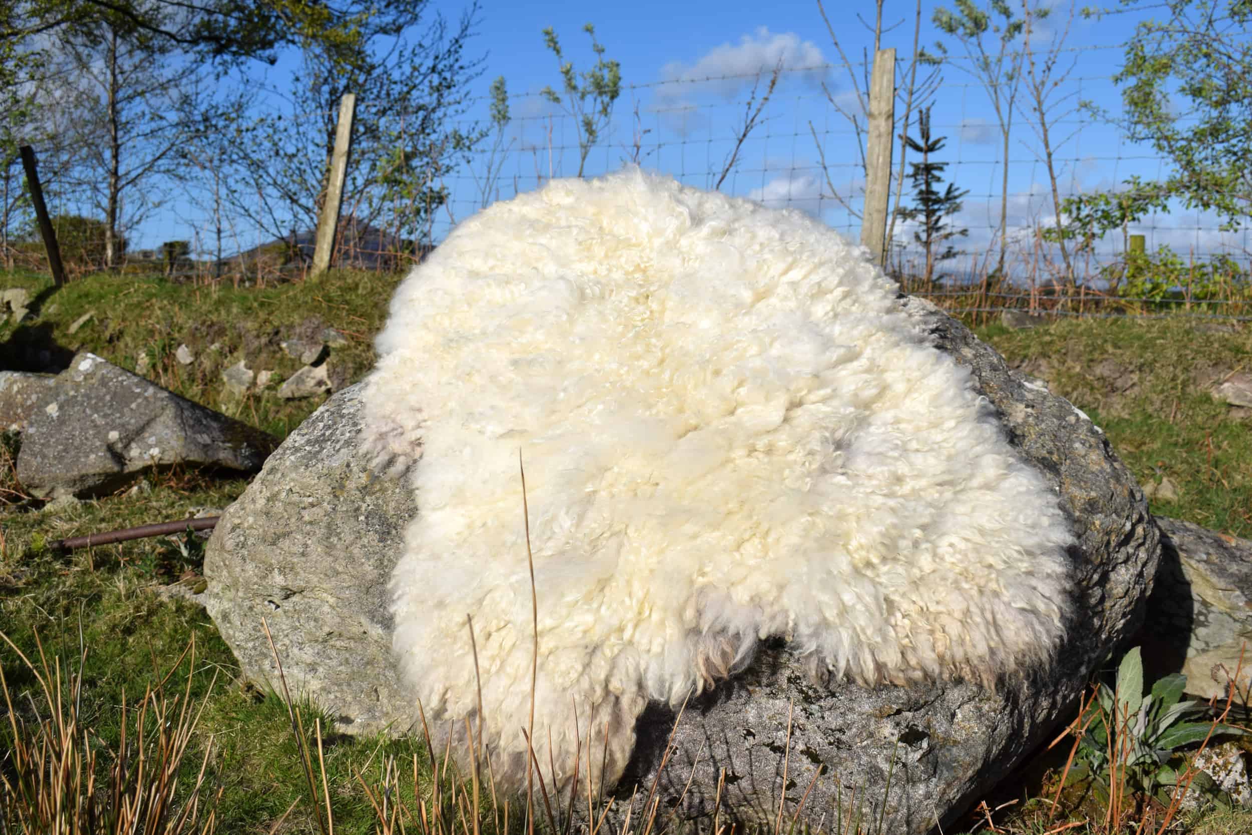 curly cream felted fleece rug vegetarian sheepskin clover natural ethical bespoke handcrafted sheep art 8 curly cream felted fleece