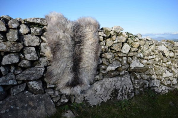 felted fleece rug ivar