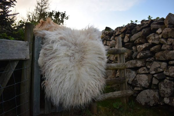 Icelandic felted fleece rug